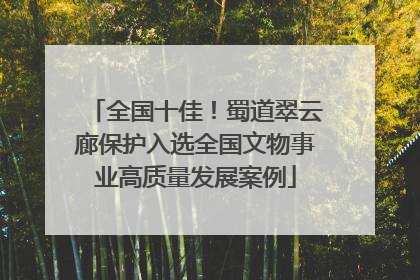 全国十佳！蜀道翠云廊保护入选全国文物事业高质量发展案例