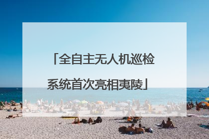 全自主无人机巡检系统首次亮相夷陵