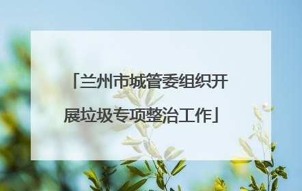 兰州市城管委组织开展垃圾专项整治工作