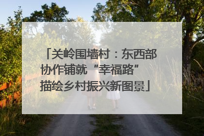 关岭围墙村：东西部协作铺就“幸福路” 描绘乡村振兴新图景