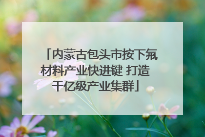 内蒙古包头市按下氟材料产业快进键 打造千亿级产业集群