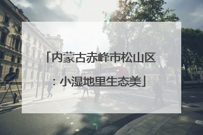 内蒙古赤峰市松山区：小湿地里生态美