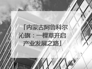 内蒙古阿鲁科尔沁旗：一棵草开启产业发展之路