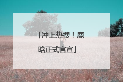 冲上热搜！鹿晗正式官宣