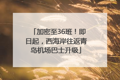 加密至36班！即日起，西海岸往返青岛机场巴士升级