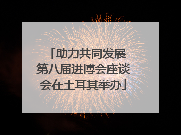 助力共同发展 第八届进博会座谈会在土耳其举办