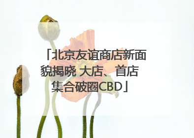 北京友谊商店新面貌揭晓 大店、首店集合破圈CBD