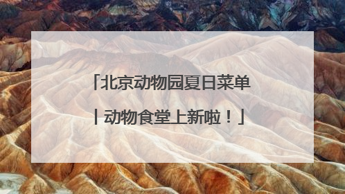 北京动物园夏日菜单丨动物食堂上新啦！