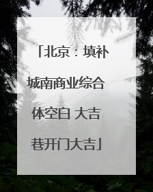北京：填补城南商业综合体空白 大吉巷开门大吉