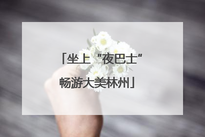 坐上“夜巴士” 畅游大美林州