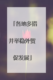 各地多措并举稳外贸促发展