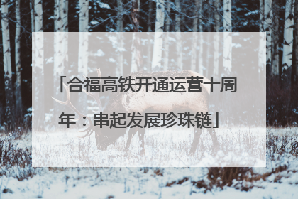 合福高铁开通运营十周年：串起发展珍珠链