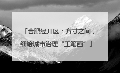 合肥经开区：方寸之间，细绘城市治理“工笔画”