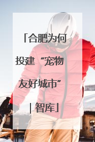 合肥为何投建“宠物友好城市”｜智库