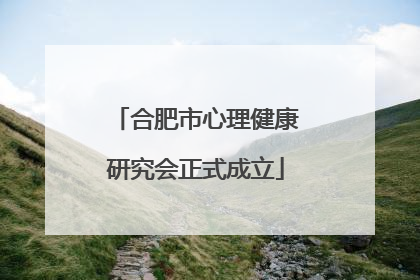 合肥市心理健康研究会正式成立