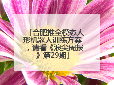 合肥推全模态人形机器人训练方案，请看《浪尖周报》第29期