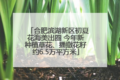 合肥滨湖新区初夏花海美出圈 今年新种植草花、播撒花籽约6.5万平方米