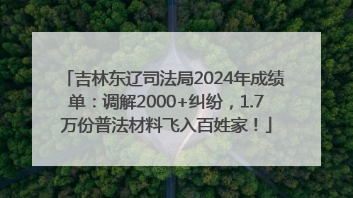 吉林东辽司法局2024年成绩单：调解2000+纠纷，1.7万份普法材料飞入百姓家！