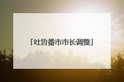 吐鲁番市市长调整