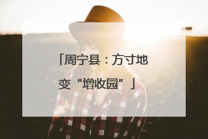 周宁县：方寸地变“增收园”