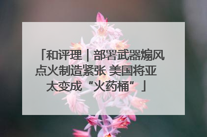 和评理｜部署武器煽风点火制造紧张 美国将亚太变成“火药桶”