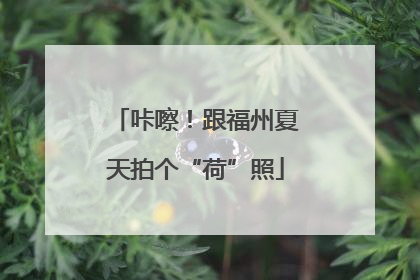 咔嚓！跟福州夏天拍个“荷”照