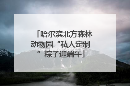 哈尔滨北方森林动物园“私人定制”粽子迎端午