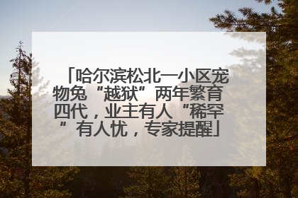 哈尔滨松北一小区宠物兔“越狱”两年繁育四代，业主有人“稀罕”有人忧，专家提醒