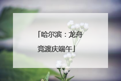 哈尔滨：龙舟竞渡庆端午