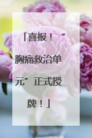 喜报！“胸痛救治单元”正式授牌！