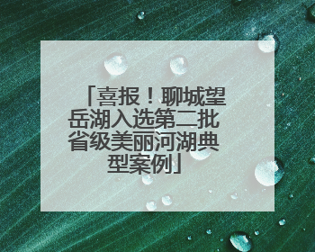 喜报！聊城望岳湖入选第二批省级美丽河湖典型案例