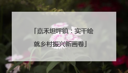 嘉禾坦坪镇：实干绘就乡村振兴新画卷