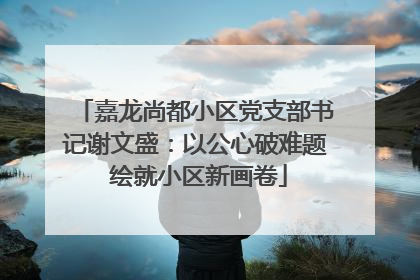 嘉龙尚都小区党支部书记谢文盛：以公心破难题 绘就小区新画卷