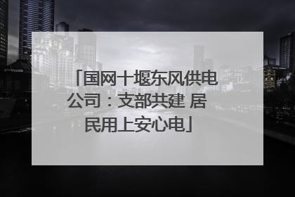 国网十堰东风供电公司：支部共建 居民用上安心电