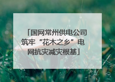 国网常州供电公司筑牢“花木之乡”电网抗灾减灾根基