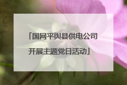 国网平舆县供电公司开展主题党日活动