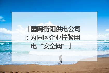 国网衡阳供电公司：为园区企业拧紧用电“安全阀”