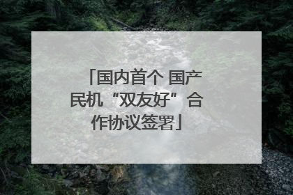 国内首个 国产民机“双友好”合作协议签署