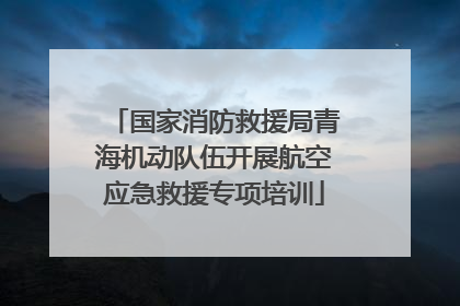 国家消防救援局青海机动队伍开展航空应急救援专项培训