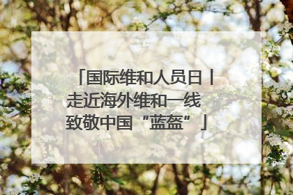 国际维和人员日丨走近海外维和一线 致敬中国“蓝盔”