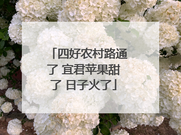 四好农村路通了 宜君苹果甜了 日子火了