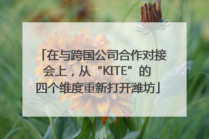 在与跨国公司合作对接会上，从“KITE”的四个维度重新打开潍坊