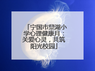 宁国市鼎湖小学心理健康月：关爱心灵，共筑阳光校园