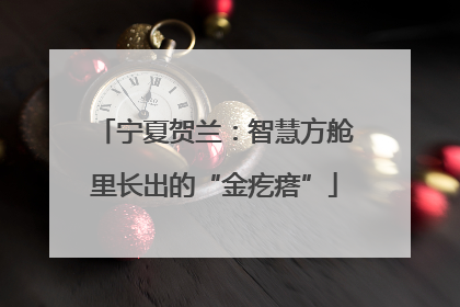 宁夏贺兰：智慧方舱里长出的“金疙瘩”