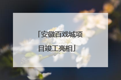 安徽百戏城项目竣工亮相