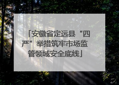安徽省定远县“四严”举措筑牢市场监管领域安全底线