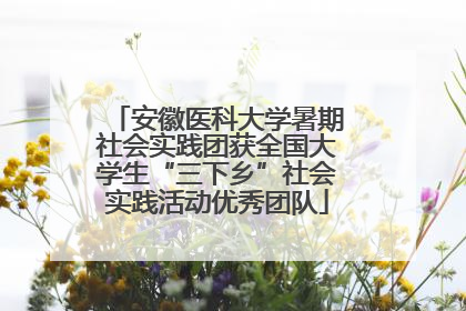 安徽医科大学暑期社会实践团获全国大学生“三下乡”社会实践活动优秀团队