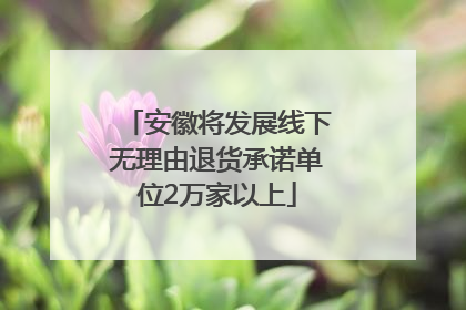 安徽将发展线下无理由退货承诺单位2万家以上