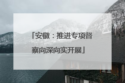 安徽：推进专项督察向深向实开展