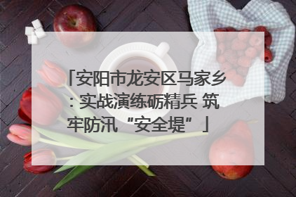 安阳市龙安区马家乡：实战演练砺精兵 筑牢防汛“安全堤”